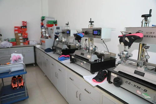 发挥中轻集团检验检测综合服务优势 以科技中介服务推动行业高质量发展