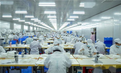 湖南朗盾科技双喜临门 成功获取EAC认证与二类医疗器械产品注册证，彰显科技中介服务价值